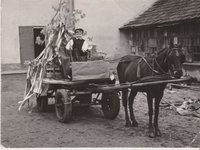 Sörszállító kocsi, bakján gyermekkel, májusfával
